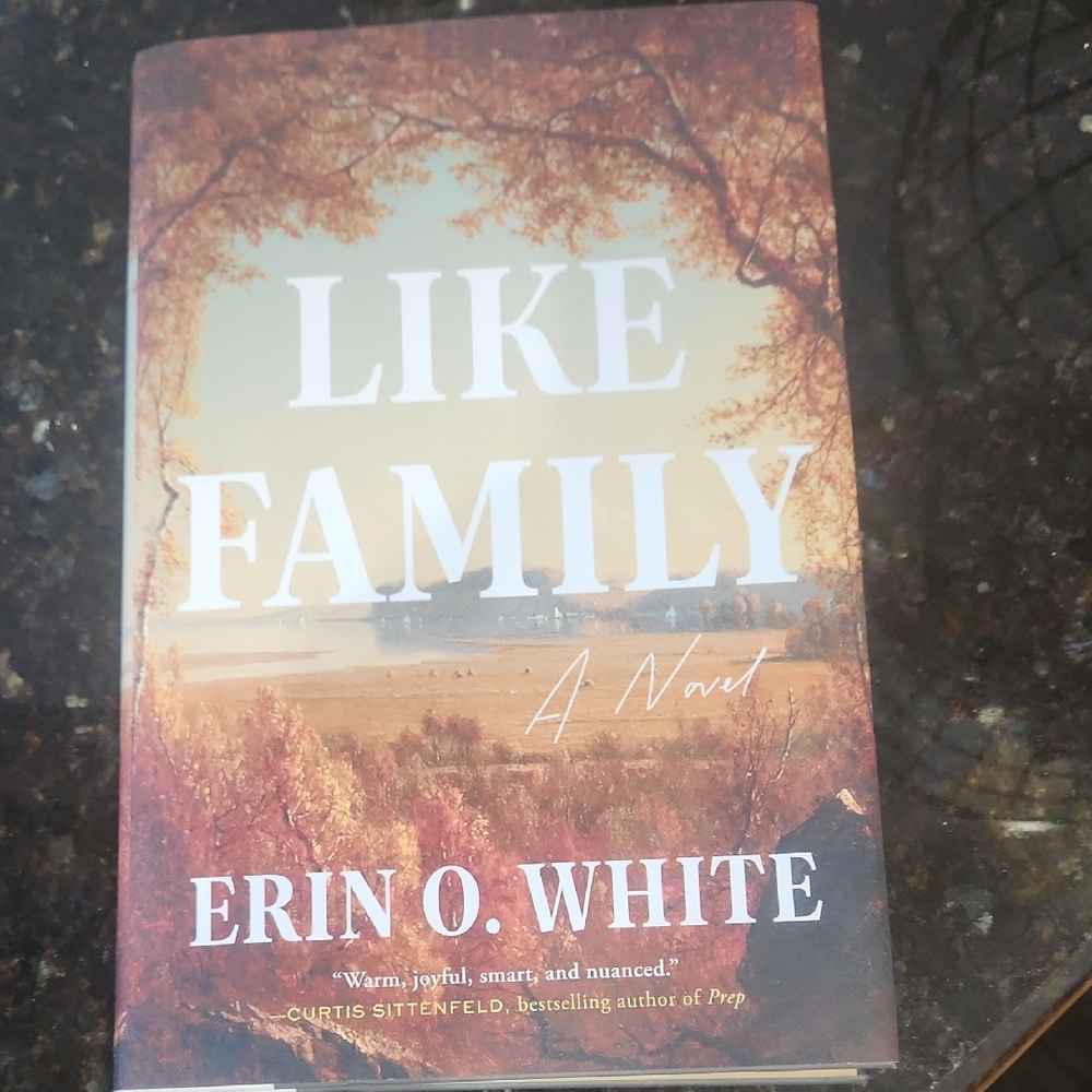 Like Family by Erin O. White